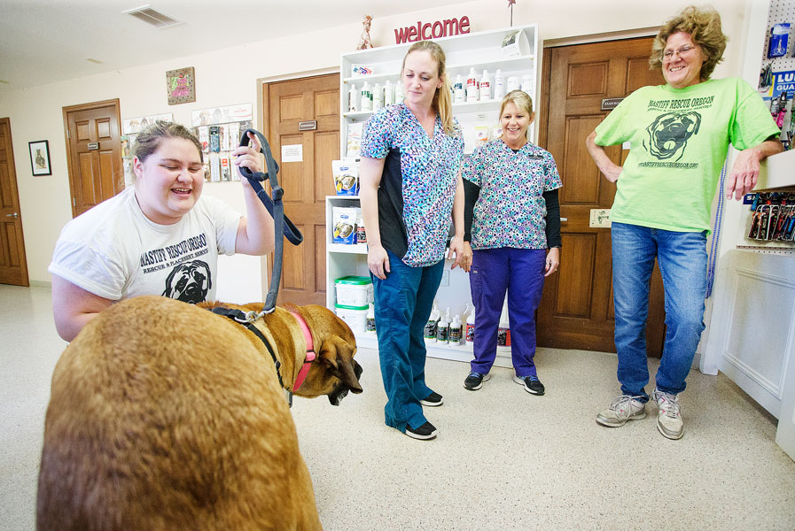 Rockne Roll/News-Register##Emily DeYoung pets foster dog Bailey as veterinary technicians Amber Mulholland and Becki Chitwood and Susan May look on at Carlton Veterinary Hospital.