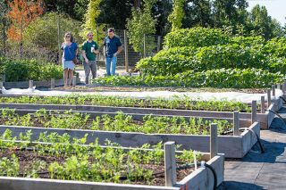 Marcus Larson / News-Register##Community garden volunteer Chad Bartel guides Rachel and Armen Karl around the grounds during Saturday s open house.