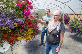 Marcus Larson/News-Register ##
Melissa McLaughlin and her son and business partner, Aaron, walk through their inventory of flowering baskets, pointing out the large variety of types and colors. Country Garden Nursery’s baskets are on display all over McMinnville and in cities up and down the West Coast.