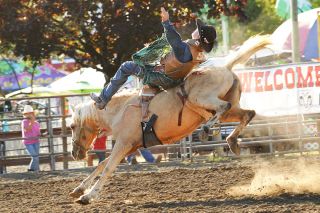 Lauren McGinty photo##Cooper Cano of Carlton competes in front of friends and family at a Junior Roughstock World Finals Tour event during the Yamhill County Fair & Rodeo last week. Cano won bareback and saddle competitions in the Novice division, earning points toward the Junior World Finals in Las Vegas in December. Lauren McGinty photo##Cooper Cano of Carlton competes in front of friends and family at a Junior Roughstock World Finals Tour event during the Yamhill County Fair & Rodeo last week. Cano won bareback and saddle competitions in the Novice division, earning points toward the Junior World Finals in Las Vegas in December.
