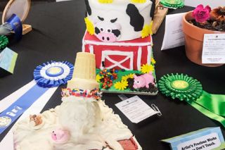 Kirby Neumann-Rea/News-Register##“Barn To Be Wild” fair theme cakes on display. The one in front is by Leann Hoopingarner of Sheridan; behind it the creation of Isabelle Bernier of McMinnville, the winner of the Superintendent’s Choice ribbon.