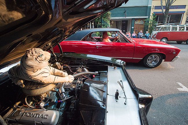 Marcus Larson / News-Register##A stuffed white tiger sits back and enjoys the view as several classic cars drive up
and down Third Street during the Dragging the Gut Festival.