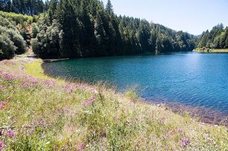 A half-hour from McMinnville in the Coast Range, Haskins Creek Reservoir is the smaller of two sources of water for the city of McMinnville. A half-hour from McMinnville in the Coast Range, Haskins Creek Reservoir is the smaller of two sources of water for the city of McMinnville.