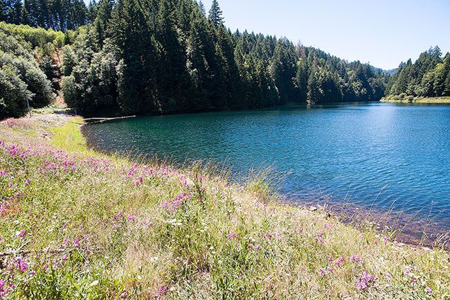 A half-hour from McMinnville in the Coast Range, Haskins Creek Reservoir is the smaller of two sources of water for the city of McMinnville.