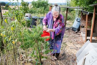 Rusty Rae/News-Register ## Vicki Gunn uses a bucket of gray water -- already used for rinsing vegetables or washing dishes —- to water part of the garden outside her Yamhill home. She reuses as much water as possible.