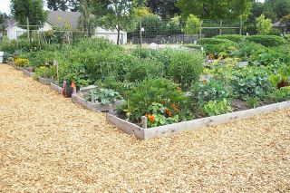 News-Register-file photo##The McMinnville Community Garden. News-Register-file photo##The McMinnville Community Garden.