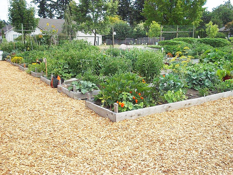 News-Register-file photo##The McMinnville Community Garden.