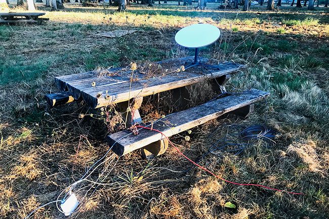 Kirby Neumann-Rea/News-Register##A modern Wi-Fi dish rests upon rustic, vegetation-crowded table in the Evergreen oak grove during the Walnut City Music Festival.