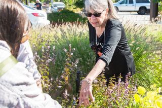 Rusty Rae/News-Register ## Nita Wiebke, a member of the Edible Landscape team, reviews the many herbs she has planted and tended to in her garden on Alpine Street.