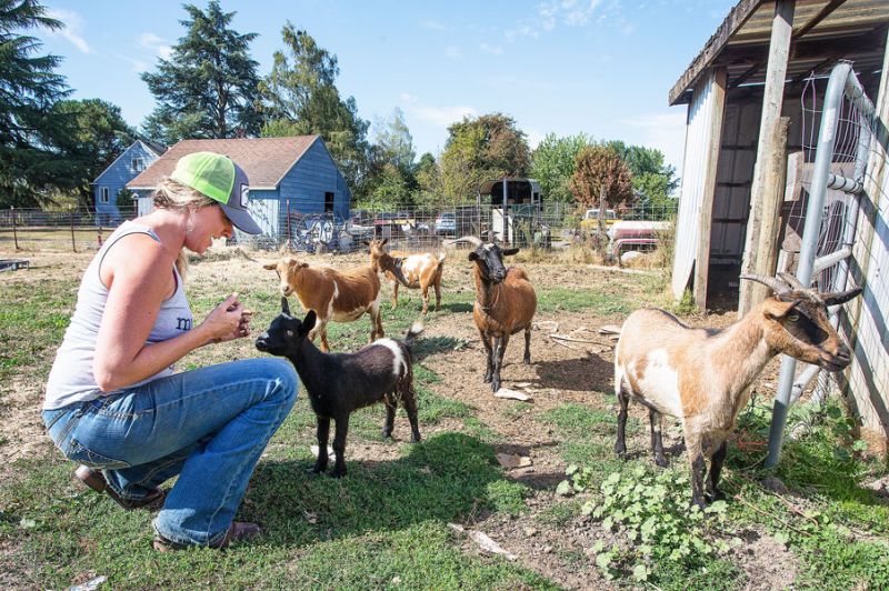 Rockne Roll/News-Register##Jessica Whiting communes with Chance and her other goats she brought home just before starting nursing school. Chance was 13 ounces at birth, small enough to fit in a teacup, so she raised the kid by hand.