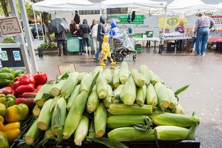 News-Register file photo##The McMinnville Farmer s Market begins again this Thursday, after wrapping up last year in this photo.