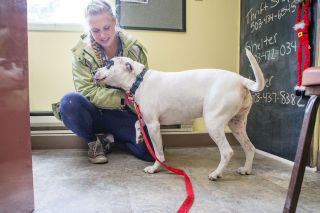Rockne Roll/News-Register##
Homeward Bound Pets  Hannah Schmidt scratchs Grace, a stray dog turned into the shelter Wednesday, Sept. 20. Stray animals picked up by county animal control will be brought to Homeward Bound beginning in October.