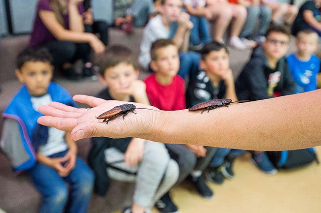 Marcus Larson/News-Register##
Shanti Kriens, the  creature teacher,  shows Wascher students male and female Madagascar hissing cockroaches. They eat the fruit and leaves that falls onto the forest floor and are very clean, she said.