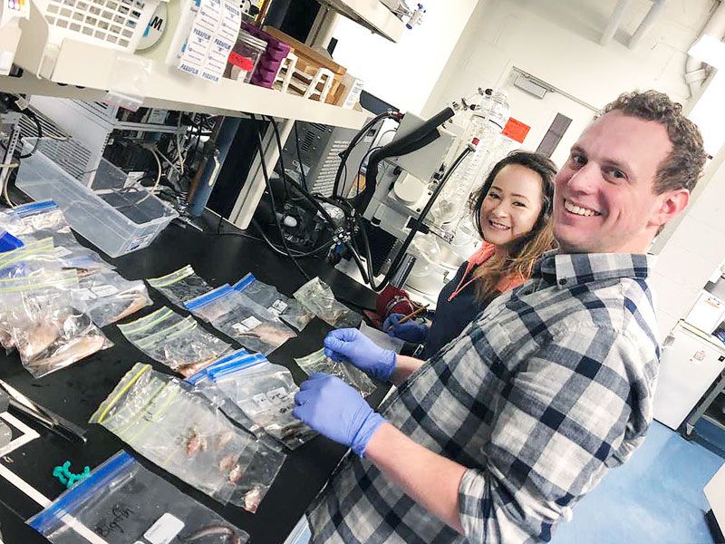 Photo courtesy of OSU’s Loesgen Lab ## Researchers Gisela Gonzalez-Montiel and Ross Overacker of Oregon State University process fish and slime swabs collected by marine biologist Misty Paig-Tran of Cal State Fullerton.