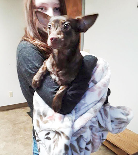 Submitted photo ##
A Homeward Bound helper holds Scrumpy for a photo, which was sent to potential adopter Michael Pollock. The Newberg man subsequently met the small brown dog and they’ve been best friends ever since.