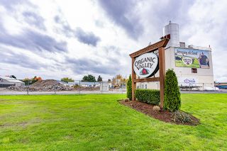 Marcus Larson/News-Register## Organic Valley will remain in McMinnville, company officials have announced. Soon new buildings will rise on the site of the processing plant to replace those destroyed by fire April 20.