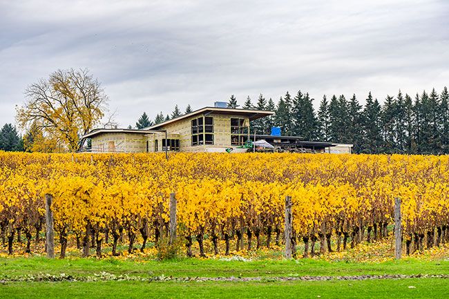 Marcus Larson/News-Register##Willamette Valley Vineyards’ new Yamhill County location, Domaine Willamette, rises amid the fall leaves of the grapevines beside Highway 99W near Archery Summit Road.