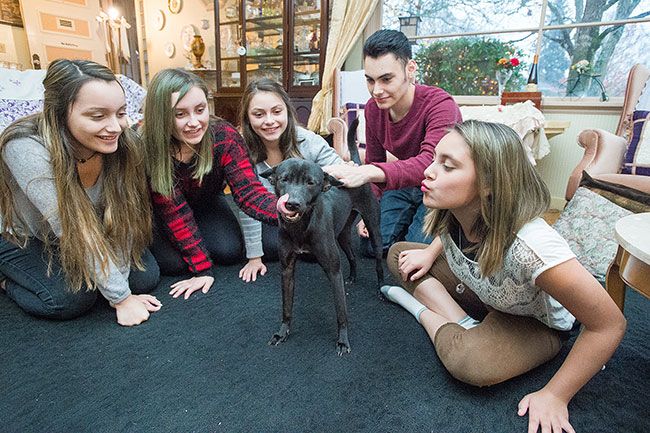 Marcus Larson / News-Register##Siblings Burgundy, Valentina, Felicity, Ricky, and Naomi Edwards play with their newly adopted dog from Thailand, Justice.