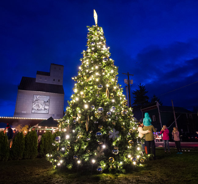 Marcus Larson / News-Register##Carlton s lighted tree shines at the conclusion of the ceremony Saturday night.