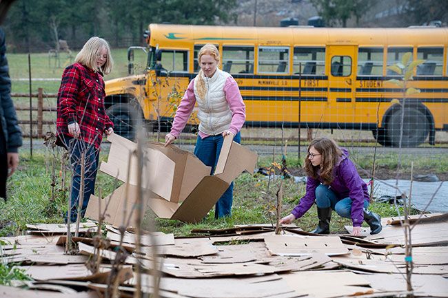 Rachel Thompson/News-Register
##
McMinnville High School horticulture students, from left,  Carlie Paull, Illeana Barsotti and Isley Blackburn lay down cardboard in the market garden to protect the soil from eroding during the winter rains.