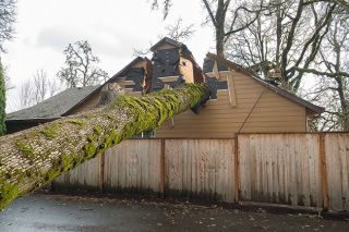 Marcus Larson/News-Register##
A large oak tree fell on a house at 2753 Pinot Noir Drive resulting in an injury to a resident home at the time. Marcus Larson/News-Register##
A large oak tree fell on a house at 2753 Pinot Noir Drive resulting in an injury to a resident home at the time.