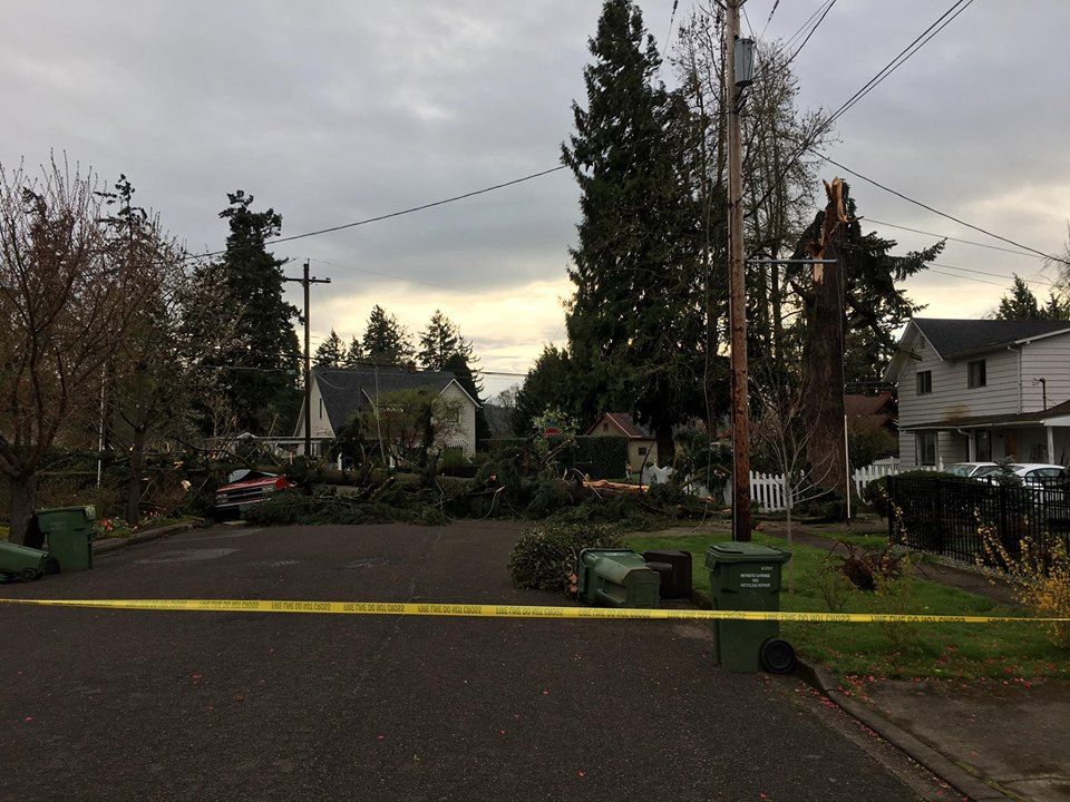 Photo courtesy YamCo Watch##A Newberg neighborhood sustained heavy weather-related damage.