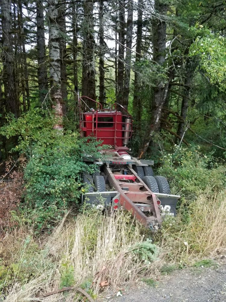 Photo courtesy Oregon State Police##A log truck driver was killed Friday afternoon when his rig left Highway 22 in rural Yamhill County.