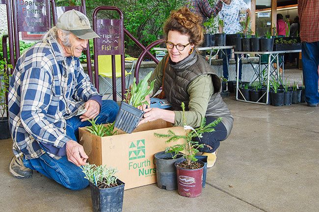 Rusty Rae/News-Register##Leslie Perrin of Carlton reviews her selection with Jim Kreutzbender of McMinnville during the variety available in the Wildflower Show and Native Plant Sale.