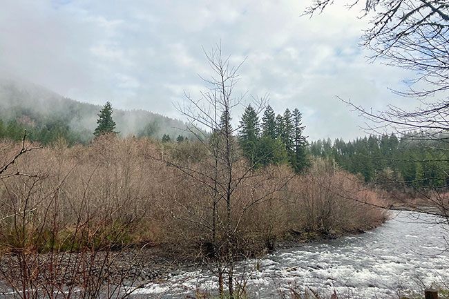 Photo courtesy of Casey Kulla##The North Fork of the Wilson River flows through Bureau of Land Management and Tillamook State Forest lands east of Tillamook. It is among Oregon waterways nominated for Wild and Scenic designation in new federal legislation.