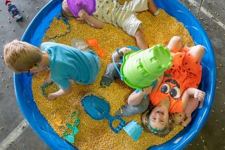 Rachel Thompson/News-Register##Noah Scholl of McMinnville, top; Asher Wilson of Sheridan, left; Sam Bagby of Sheridan, center, and Lucia Molloy, right, of Sheridan are bathed in kernels of corn at the Sheridan Hometown Days mini-ag fest Saturday.