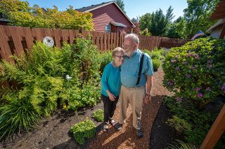 Rachel Thompson/News-Register##Karen and Ken Jansen of Lafayette share a moment in their garden. The couple have been married for 61 years. Karen works in her garden daily, and the results show in its lush flowers and greenery.  She s an artist,  Ken said.