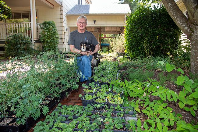Rusty Rae/News-Register##Tim McDaniel and his pup, Doug, show off the array of native plants the McMinnville resident grows from seeds he has collected.