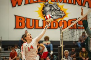 Rachel Thompson/News-Register##Willamina’s Hadley Hughes recorded 12 kills and 6 assists in the win over Colton.
