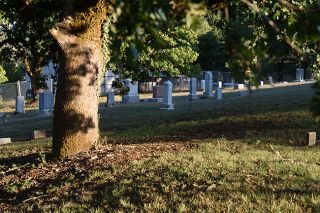 Rusty Rae/News-Register##The city of Willamina has turned managerial duties of the Willamina Cemetery over to Joel Boyce. One of his top priorities will be creating a database that accounts for everyone buried on the grounds. Boyce also owns Green Crest Memorial Park in Sheridan.