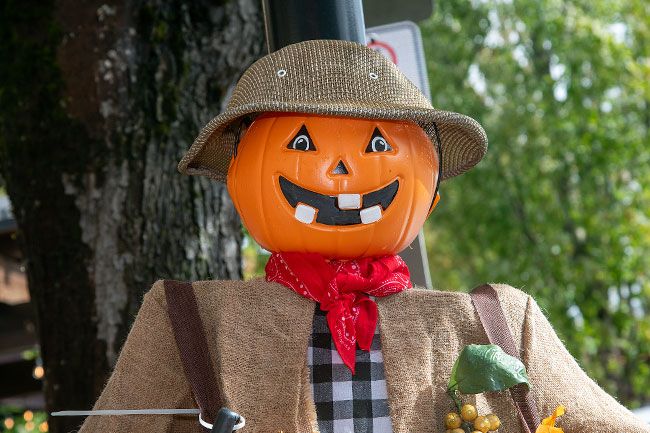 Rusty Rae/News-Register##Punch Down Pete from R. Stuart & Co. Winery tries to look into the eyes of passersby — something that will tie them to the same fate he suffered, a life of punching down grapes to make wine, or so the legend goes. The scarecrow features a pumpkin head and more pumpkins at its feet.