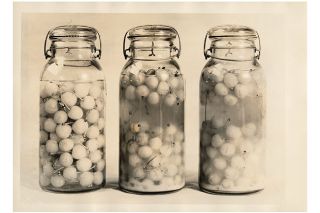 Image: OSU Libraries##Jars of Queen Anne cherries undergoing Prof. Wiegand’s brining and bleaching process prior to being turned into modern-process maraschino cherries, in 1931.