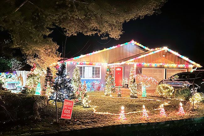 Kirby Neumann-Rea/News-Register##Illuminated artificial trees fill this yard on Southeast Morgan Street in McMinnville, one example of elaborate lighting displays created by residents throughout county communities.