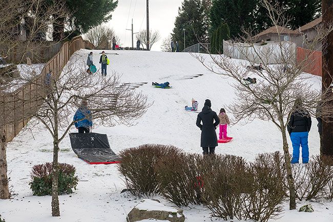 ##McMinnville residents enjoy the impromptu sledding party Sunday in the linear park off Wallace Road on the west side of McMinnville. Weekend snow made hills slick enough for sliding, although sledders needed to bundle up against the extremely cold conditions.