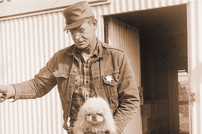##(March 1, 1969) Warren Casey, temporary dog control officer for Yamhill County, transfers a stray pooch from his truck to the County Dog Kennel at the fairgrounds. Casey estimated about 20 dogs are picaked up each week in McMinnville and surrounding towns. Unless claimed by owners or other persons wanting a dog, the pooch here faces a short life.
