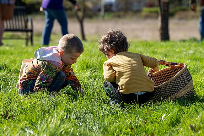 Rachel Thompson/News-Register##Frank Stachow, 5, left, who was visiting from Anchorage, Alaska, and Collin Magruder, 4, of McMinnville, look for any eggs remaining after the mad dash at the Lions Easter egg hunt. Frank’s mom grew up near Discovery Meadows Park, where the egg hunt was held.