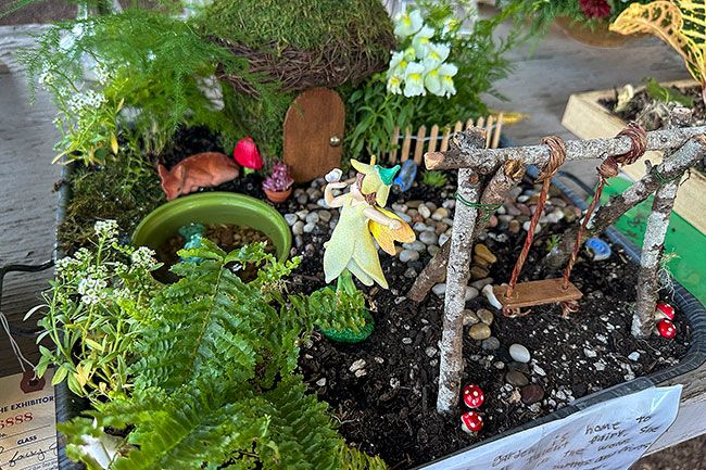 Kirby Neumann-Rea/News-Register##Pebbles as boulders augment “Fairy Garden” by Riley Mack of Yamhill, on view in Wiser Pavilion at Yamhill County Fair.