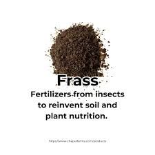 CHAPUL FARMS FRASS I: Frass is a general term that means the things that insects and their larvae leave behind. It contains excrement from all the things they consume as they so along like plant material, wood, human food, and other materials. Frass will look different depending on the insect type and what their food source is. Frass can look like little bits of dust, rust, or sawdust, or whatever the insects have been consuming.Frass also contains chitin, the main component found in the exoskeletons of insects and shellfish. The nutrients in frass are in a readily available form that allows it to function as efficiently as a mineral NPK fertilizer.