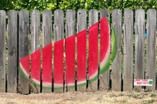 Kirby Neumann-Rea/News-Register##“Love your mother” reads the small sign near the vivid rendition of a watermelon at the community garden next to Renshaw Hall. Kirby Neumann-Rea/News-Register##“Love your mother” reads the small sign near the vivid rendition of a watermelon at the community garden next to Renshaw Hall.