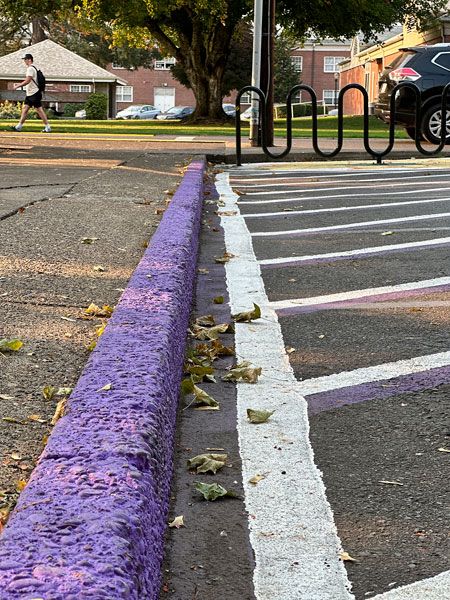 Kirby Neumann-Rea/News-Register##Distinctive purple curbing communicates the “no parking” message with school spirit, next to Walker Hall and Linfield Avenue.