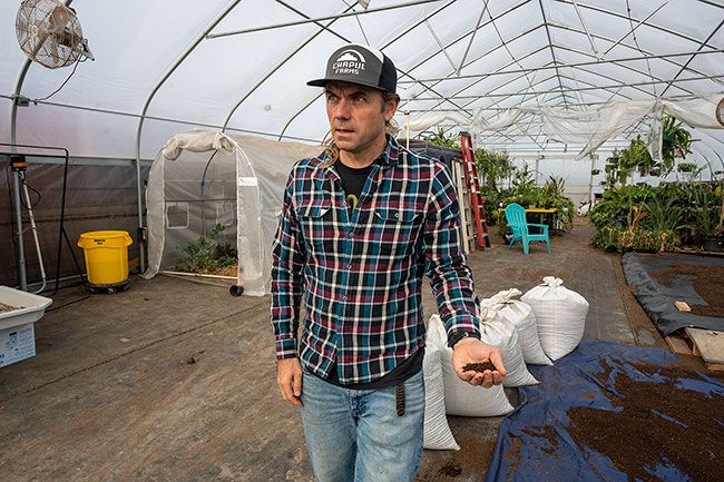 Rachel Thompson/News-Register##In a large greenhouse behind Chapul Farms Research and Innovation Center, founder Pat Crowley shows how fertilizer is sun-dried after being separated from the larvae. In the background are plants being fertilized by Chapul products, which are being tested in a variety of growing trials.