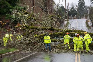 Rachel Thompson/News-Register##A McMinnville Public Works crew removes tree that came down on Old Sheridan Road on Dec. 17. The lone occupant was unhurt. The incident caused an outage to approximately 475 customers from 11:55 a.m. to 12:30 p.m.