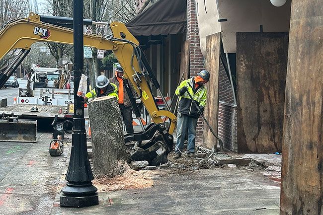 Kirby Neumann-Rea/News-Register##SIDEWALK UPGRADE: Crews remove portions of sidewalk in the 500 block of Third Street last week in front of Nick’s Italian Cafe and the future Celestial Hill winery tasting room. Renovation of the Celestial Hill space as well as the future Carriage House in the corresponding location on Fourth Street, required that the sidewalk be brought into compliance with federal regulations, according to city of McMinnville officials. The sidewalk could not be replaced without damaging the existing street trees to the point that it required replacement, leading to permits for tree and stump removal, on both Third and Fourth streets.