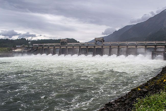 Wikimedia Commons##The Bonneville Dam spillway. Wikimedia Commons##The Bonneville Dam spillway.