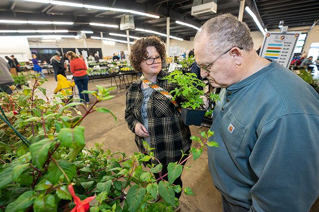Rachel Thompson/News-Register file photo##At the Yamhill County Master Gardeners plant sale last year, Heather Flowers of Lafayette looks for inspiration for her new kitchen garden, with help from her father, Robert, of McMinnville. This year’s sale will be held Saturday and Sunday, May 3 and 4, at the Yamhill County Fairgrounds. Rachel Thompson/News-Register file photo##At the Yamhill County Master Gardeners plant sale last year, Heather Flowers of Lafayette looks for inspiration for her new kitchen garden, with help from her father, Robert, of McMinnville. This year’s sale will be held Saturday and Sunday, May 3 and 4, at the Yamhill County Fairgrounds.