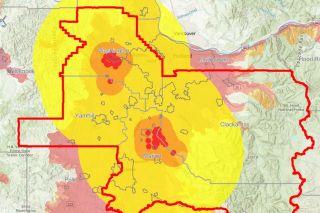 Oregon Department of Forestry##The Oregon Emerald Ash Borer Map shows in red areas confirmed findings of the invasive beetle (pictured below) that kills ash trees, within the Oregon Emerald Ash Borer Quarantine Area — comprised of Washington, Yamhill, Marion, and Clackamas counties. There has been one case confirmed of the species in Yamhill County (between Yamhill and Gaston), with many suspected yet unconfirmed.